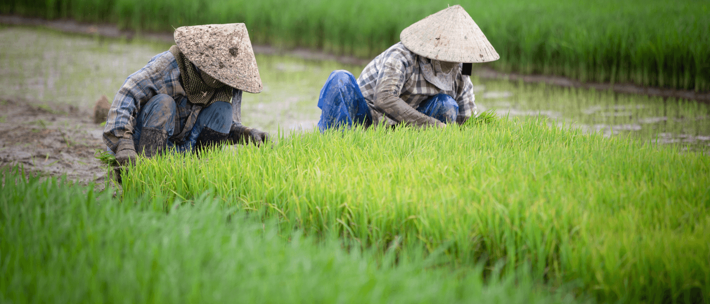 Image title | ivs digital solution pune