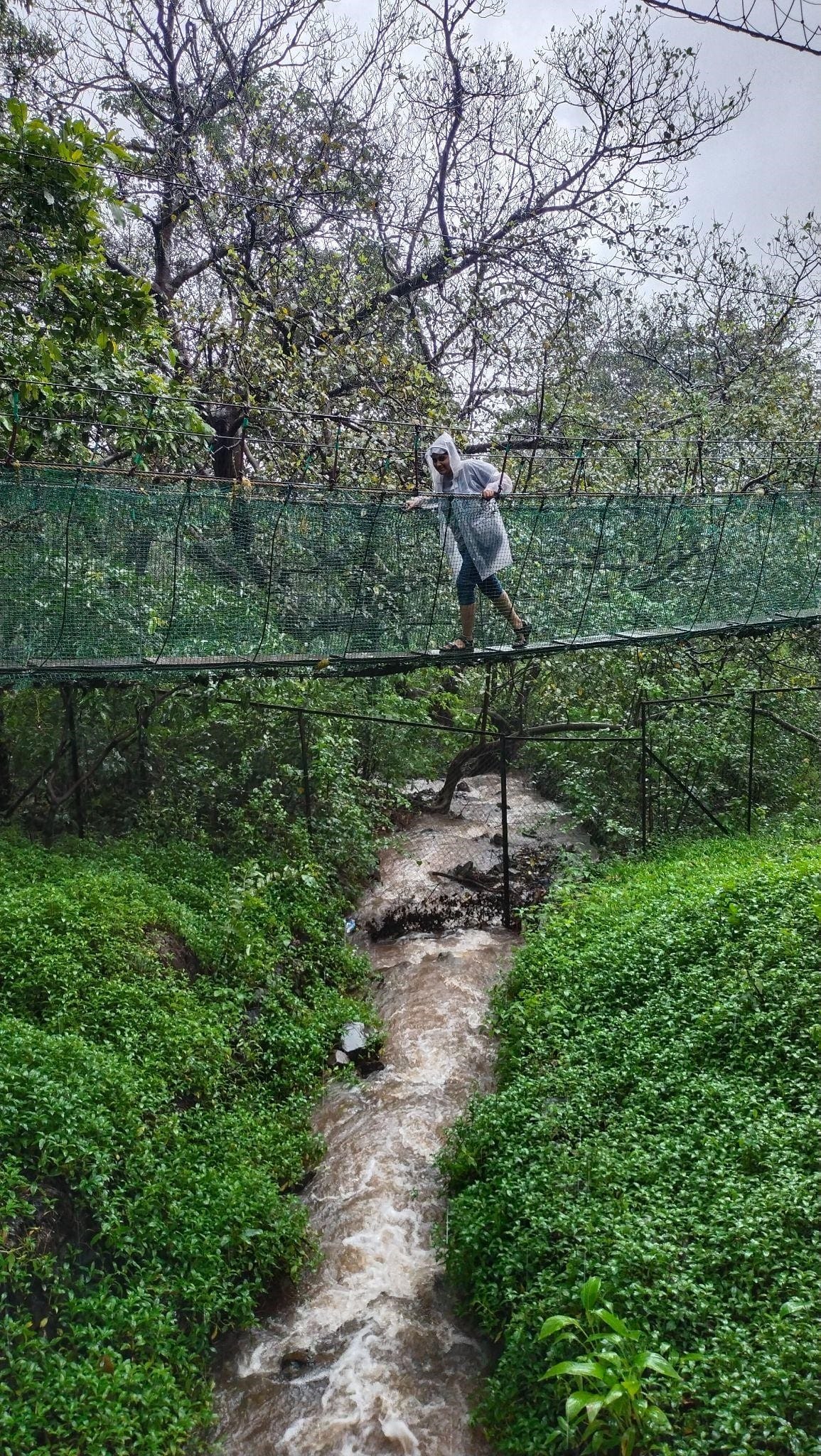 Monsoon Picnic Spots Near Pune  Monsoon getaway near Pune Waterfall picnic spots near Pune Rainy season picnic near Pune Nature picnic spots Pune Weekend monsoon trips near Pune