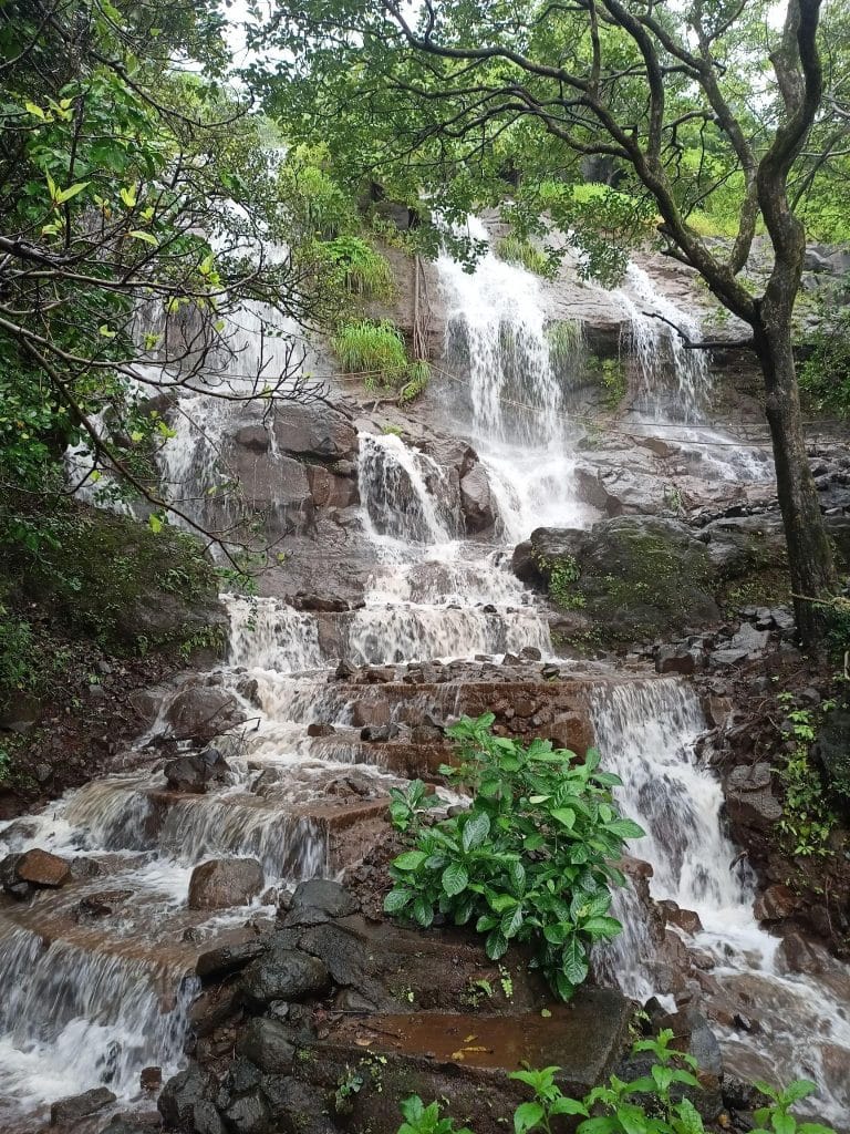 Image title | ivs digital solution pune