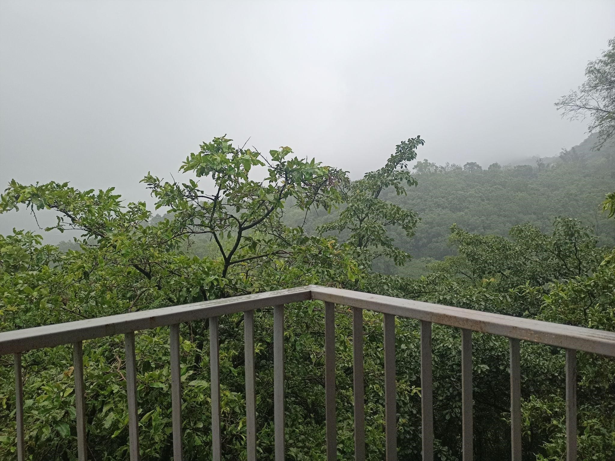 Image title | ivs digital solution pune