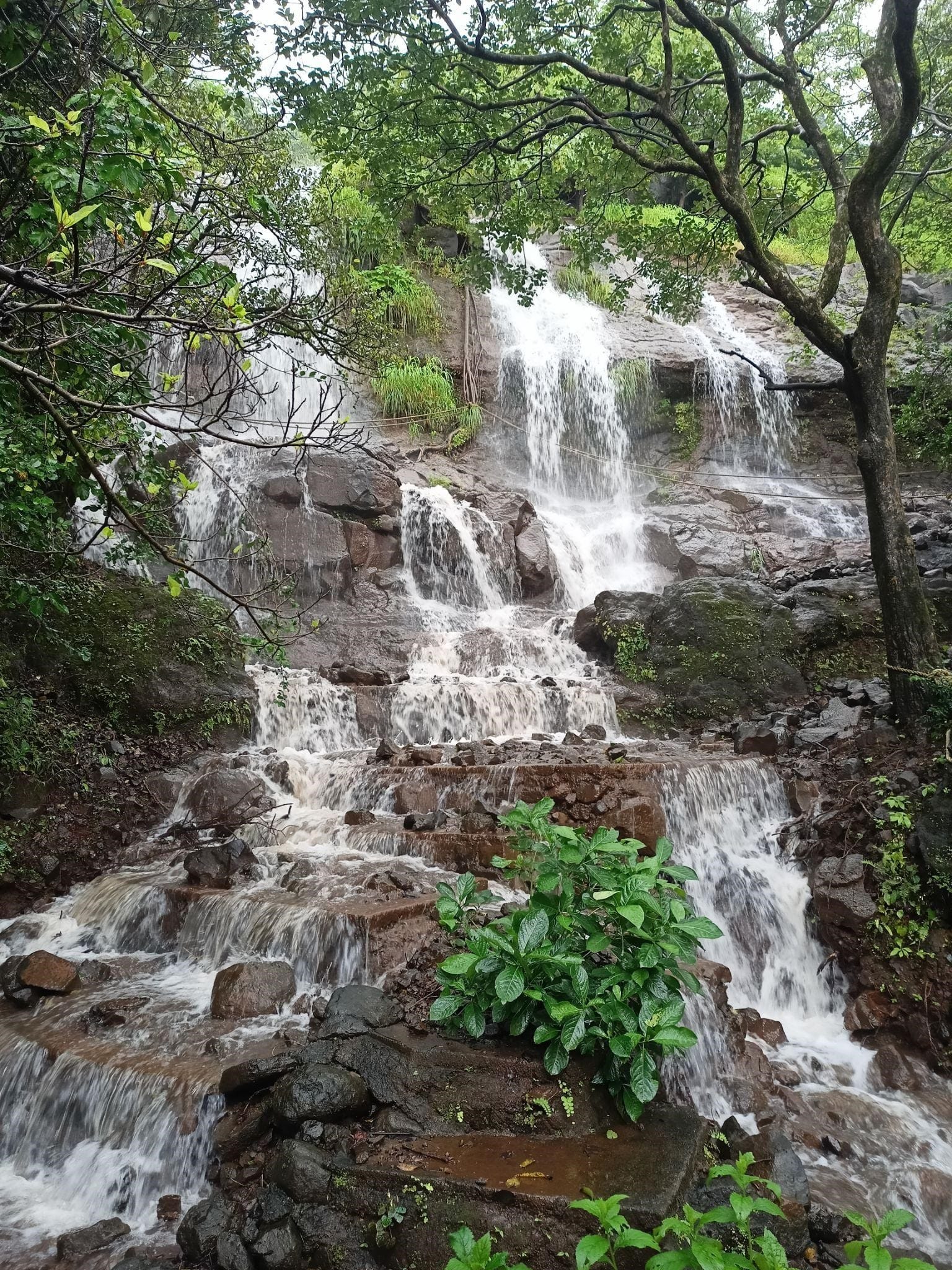 Monsoon Picnic Spots Near Pune  Monsoon getaway near Pune Waterfall picnic spots near Pune Rainy season picnic near Pune Nature picnic spots Pune Weekend monsoon trips near Pune