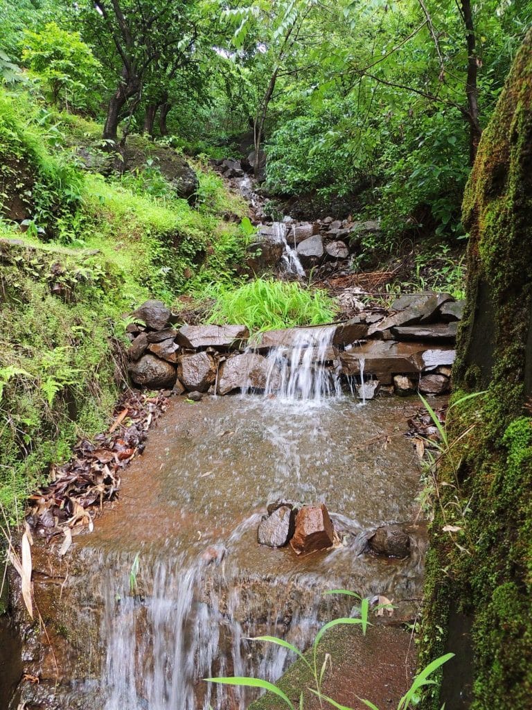 Image title | ivs digital solution pune