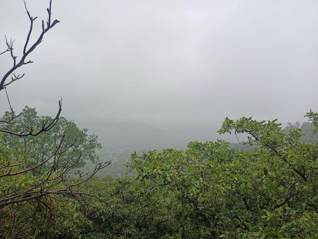 Image title | ivs digital solution pune